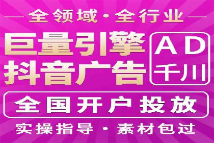 高效SEM托管服务：成功案例深度解析